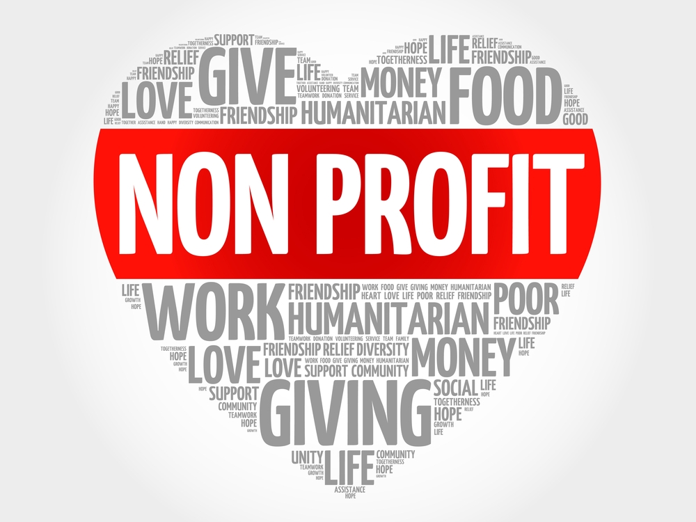 Non-Profits and NGOs and Human Resources