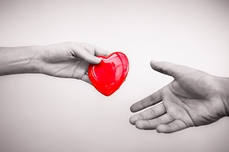 heart hands image